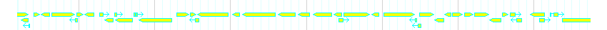 Genes detail