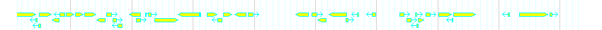 Genes detail