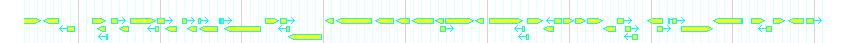 Genes detail
