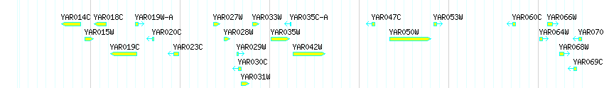 Genes detail