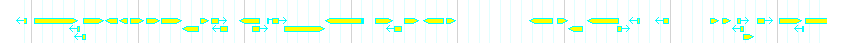 Genes detail