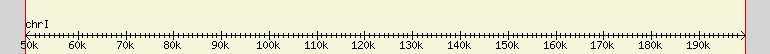 __scale__ region
