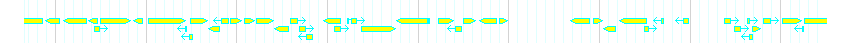 Genes detail