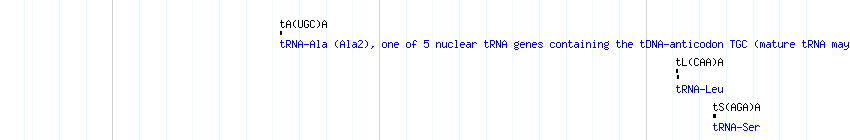 tRNAs detail