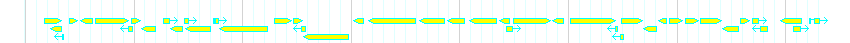 Genes detail