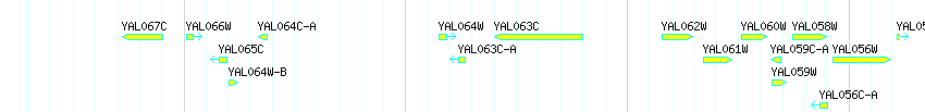 Genes detail