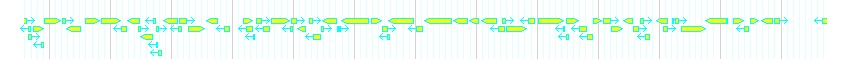 Genes detail