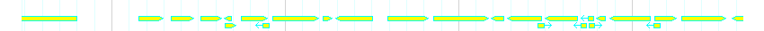 Genes detail