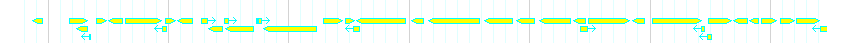 Genes detail
