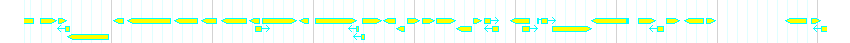 Genes detail