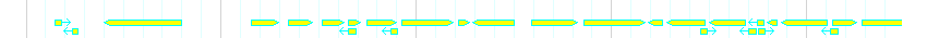 Genes detail
