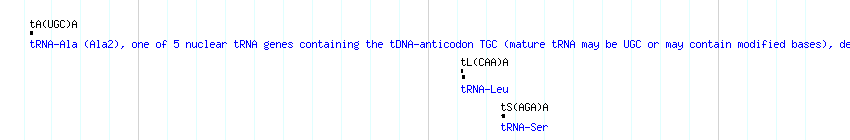 tRNAs detail