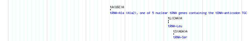 tRNAs detail
