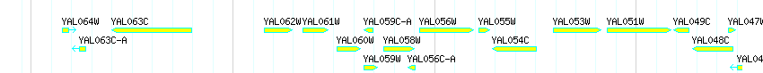 Genes detail