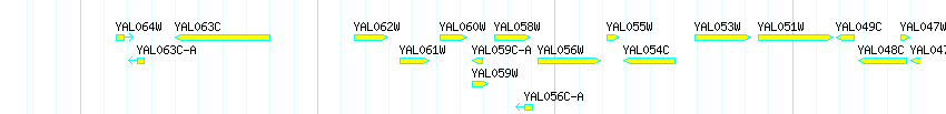 Genes detail