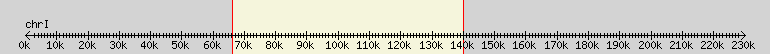 __scale__ overview
