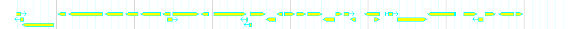 Genes detail