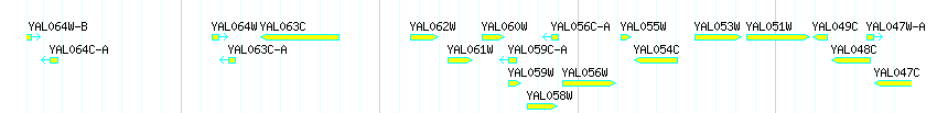 Genes detail