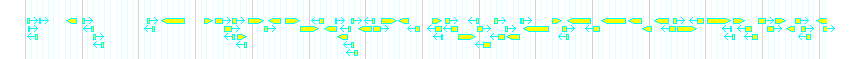 Genes detail