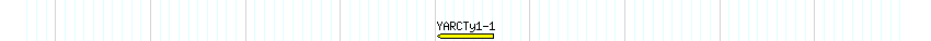 Transp detail