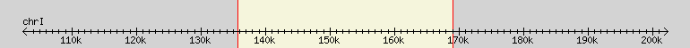 __scale__ region