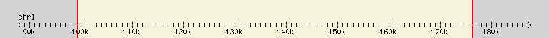 __scale__ region