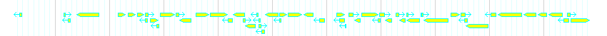 Genes detail