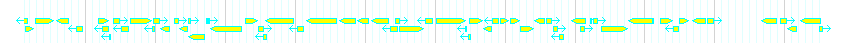 Genes detail