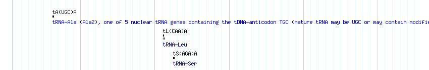 tRNAs detail