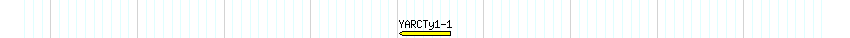 Transp detail