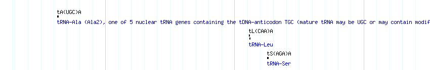tRNAs detail