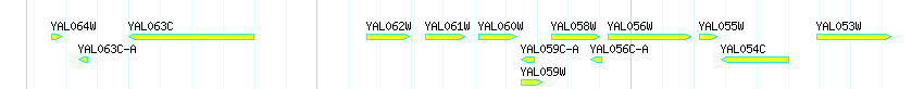 Genes detail