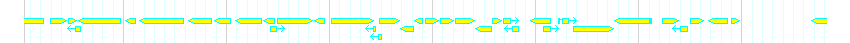 Genes detail