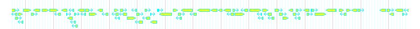 Genes detail