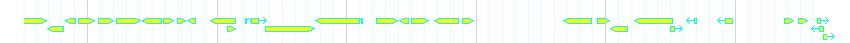 Genes detail