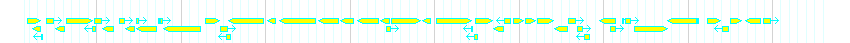 Genes detail