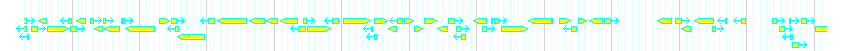 Genes detail