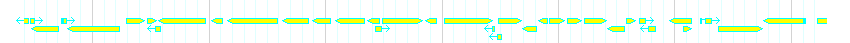 Genes detail