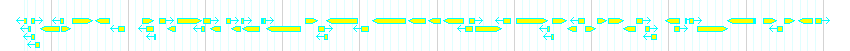 Genes detail