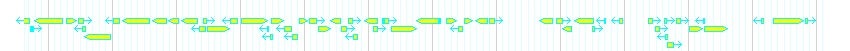 Genes detail