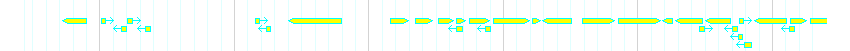 Genes detail