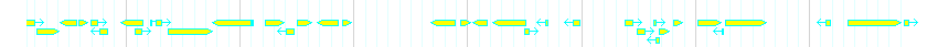 Genes detail