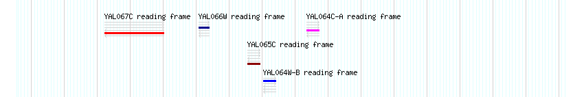 CDS detail