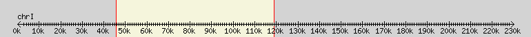 __scale__ overview