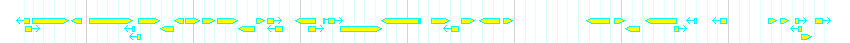 Genes detail