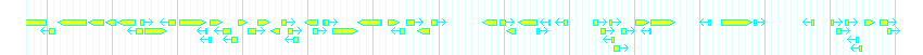 Genes detail