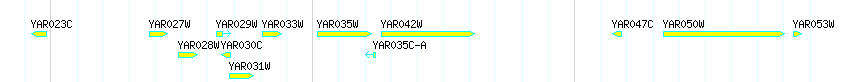 Genes detail
