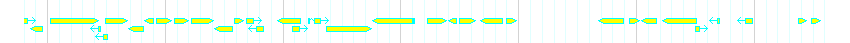 Genes detail