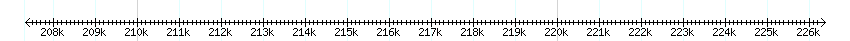 __scale__ detail