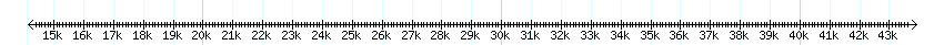 __scale__ detail